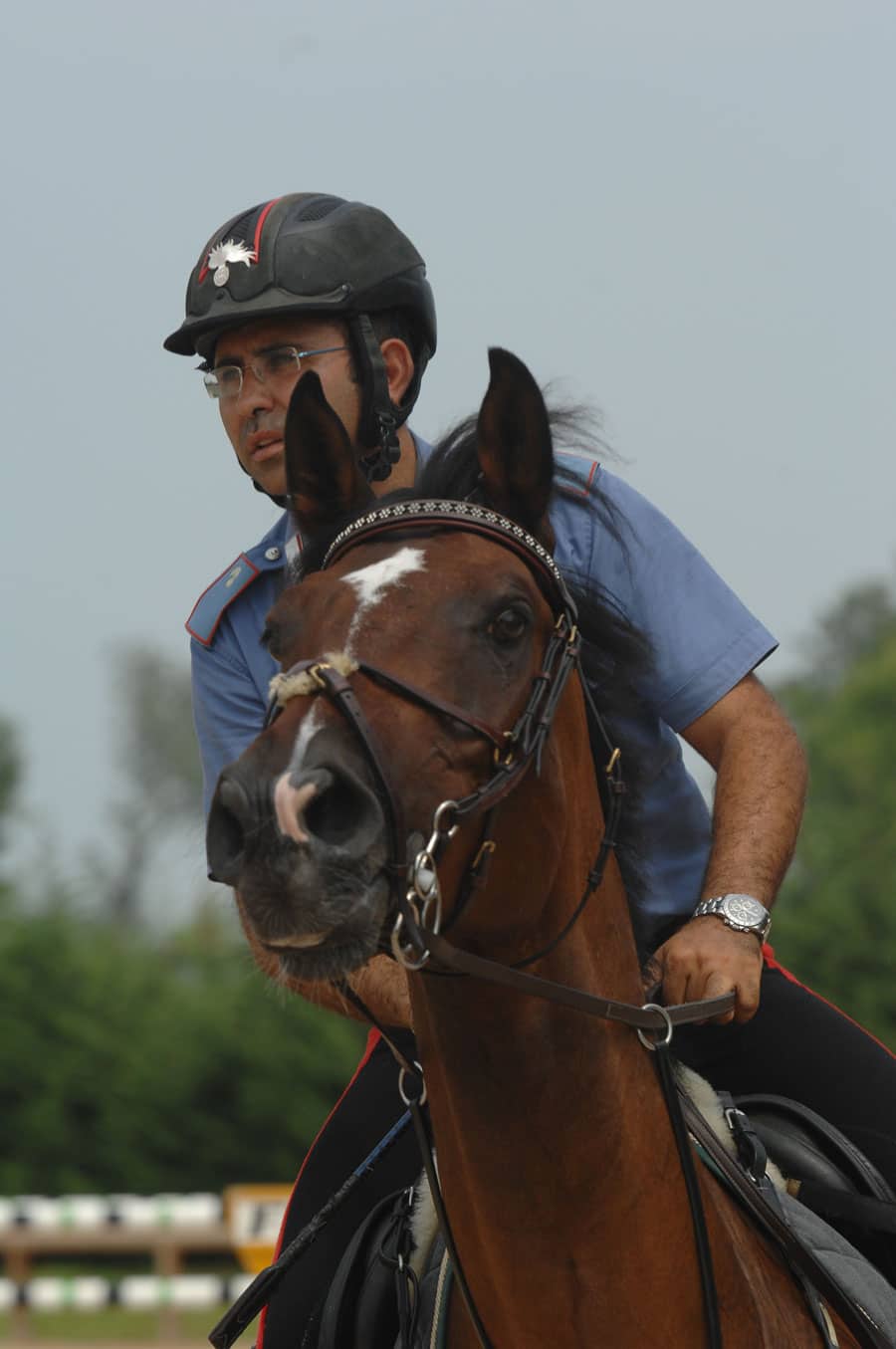 lorenzo-toscano-cavaliere Lorenzo Toscano